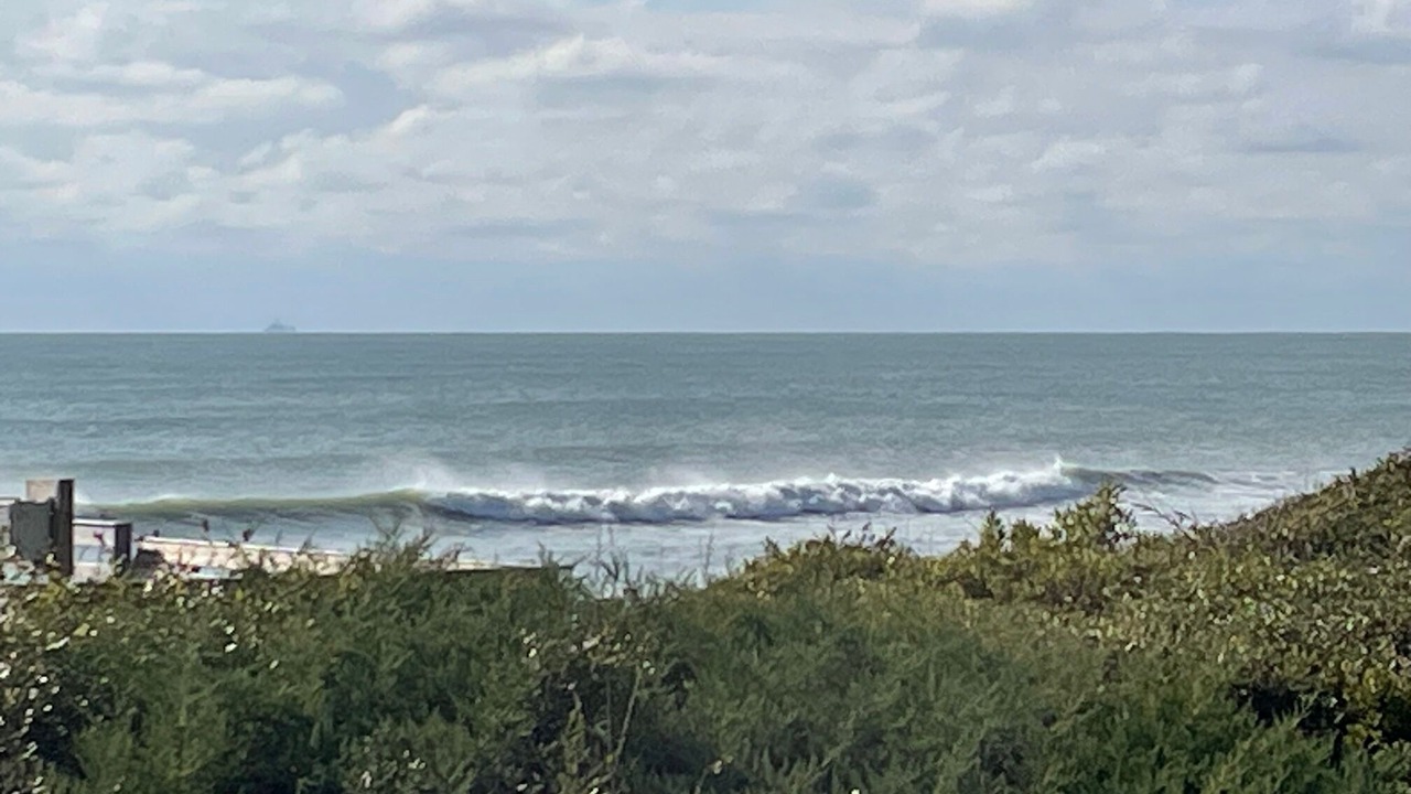 Photo of Others in Indian Beach