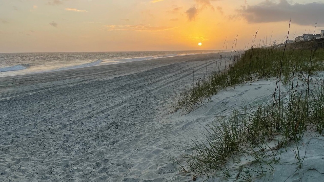 Photo of Others in Indian Beach