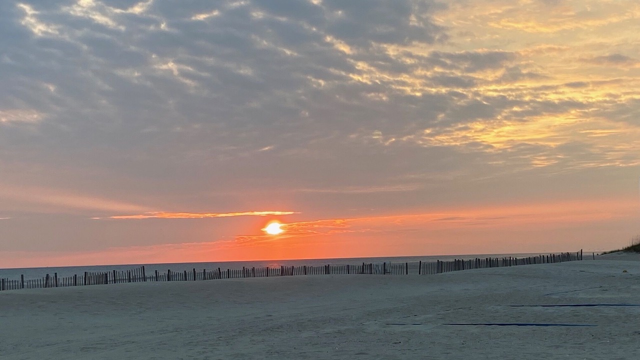 Photo of Others in Indian Beach