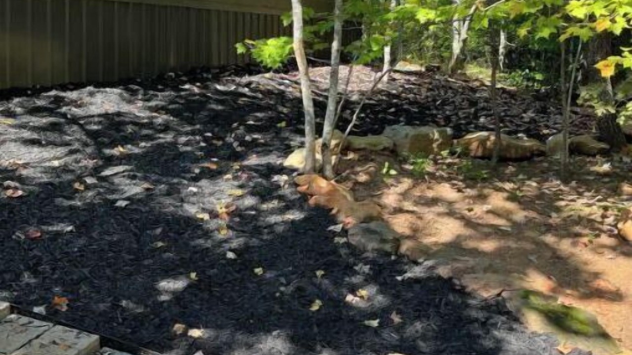 Photo of Outdoor in Mill Spring
