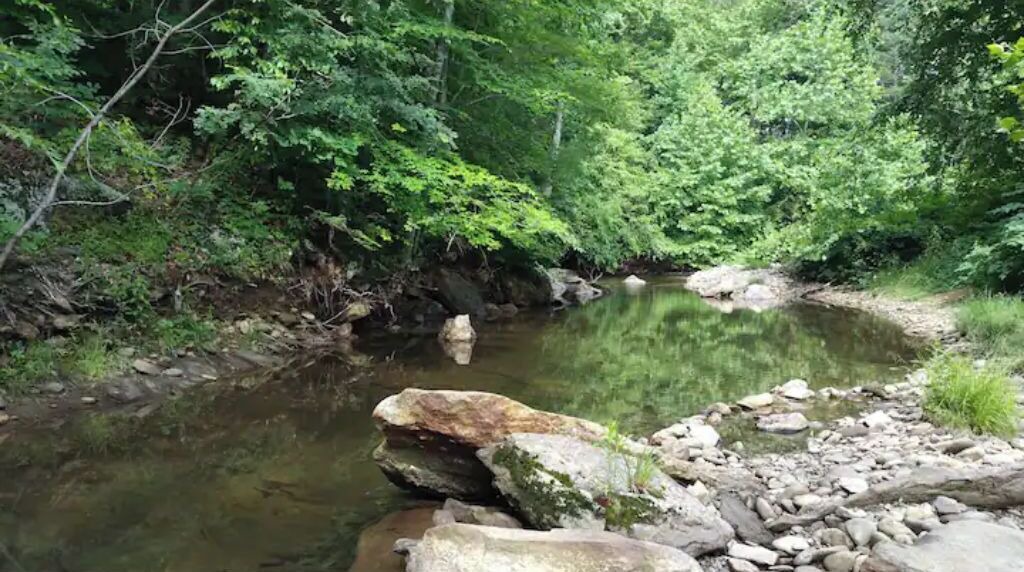 Photo of Others in Barnardsville