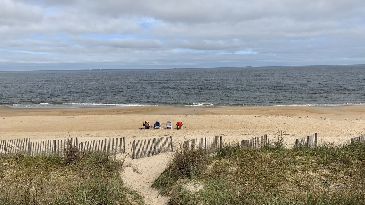 Photo of Others in East Ocean View