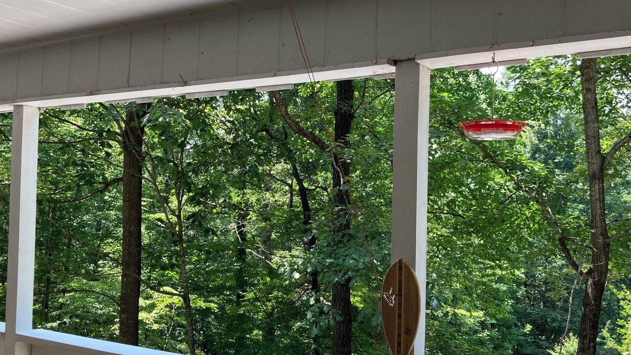 Photo of Outdoor in Hendersonville