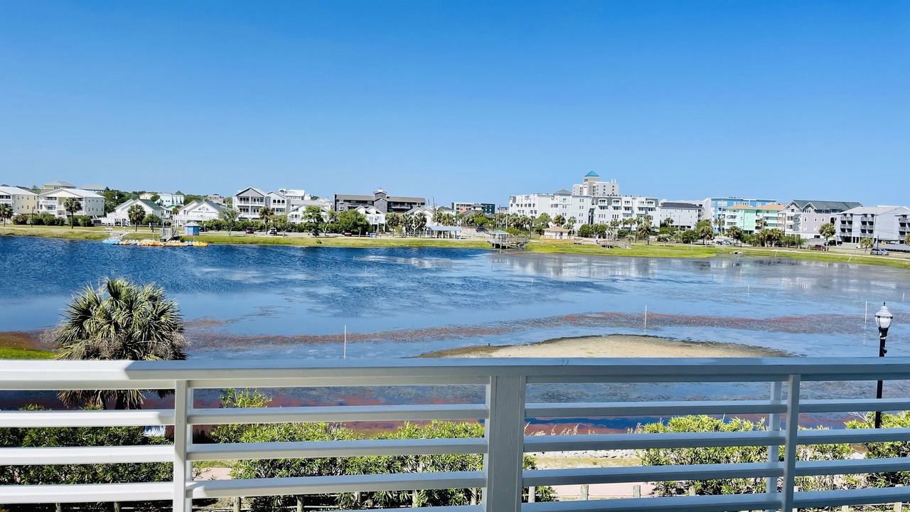 Photo of Outdoor in Carolina Beach