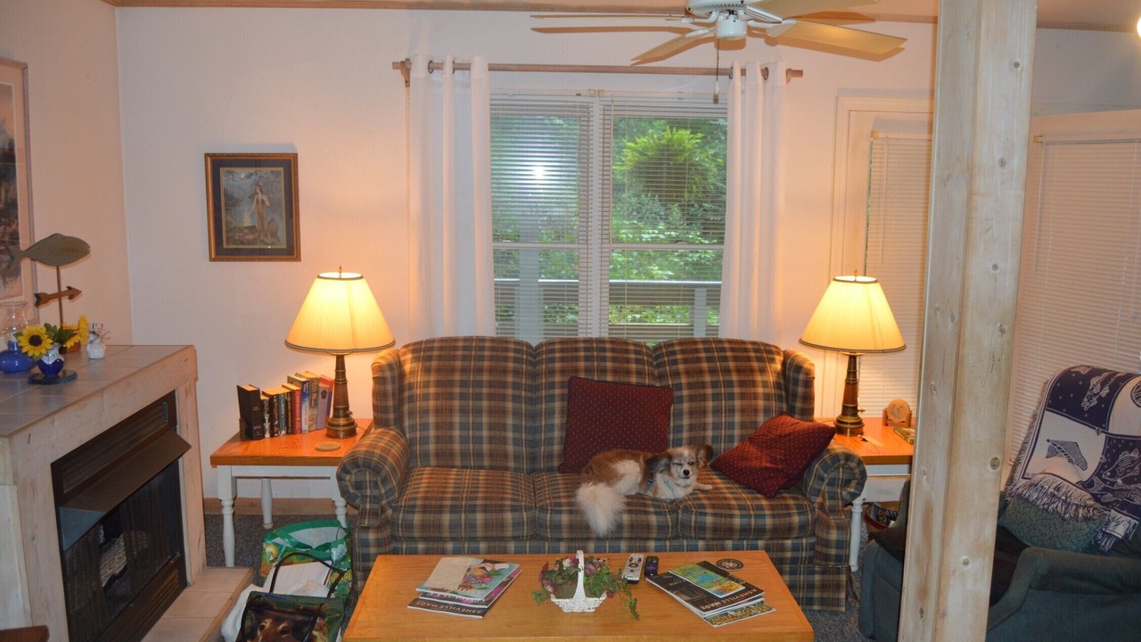 Photo of Livingroom in Weaverville