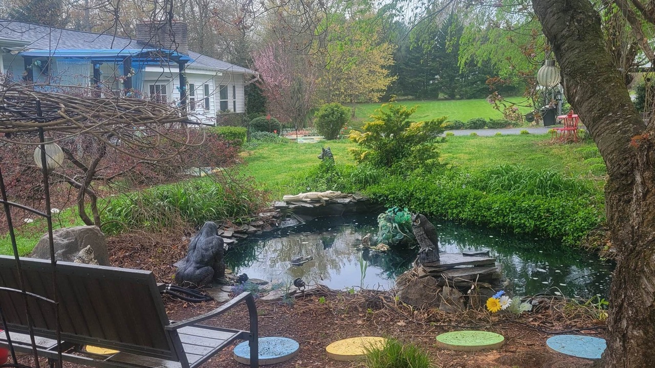 Photo of Outdoor in Mount Airy