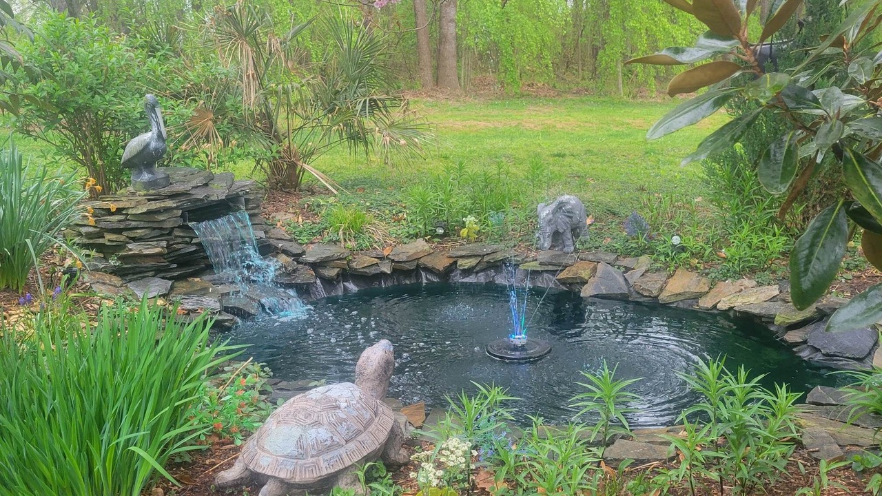 Photo of Outdoor in Mount Airy
