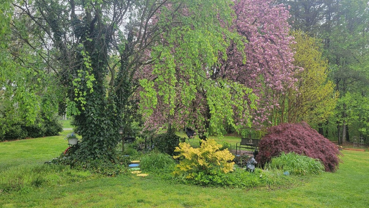 Photo of Outdoor in Mount Airy