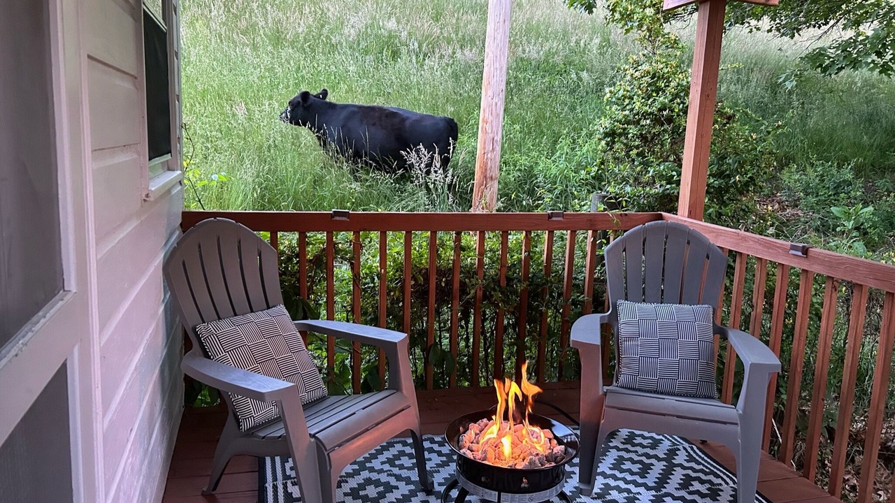 Photo of Outdoor in Mars Hill