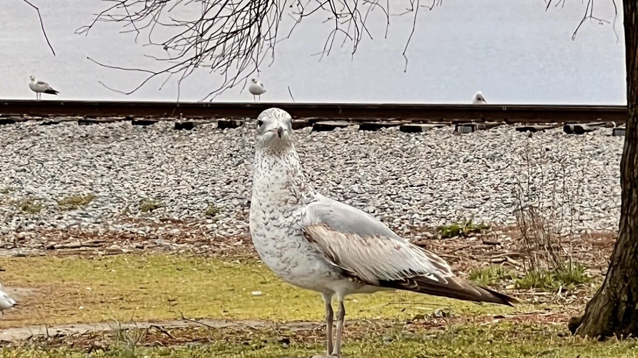 Photo of Outdoor in Washington