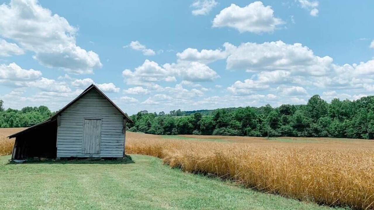 Photo of Others in Southmont