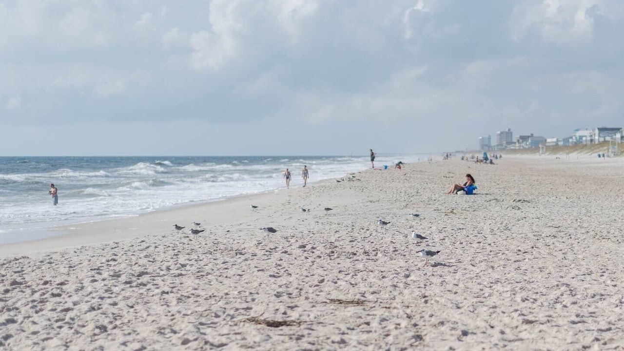 Photo of Others in Wilmington Beach