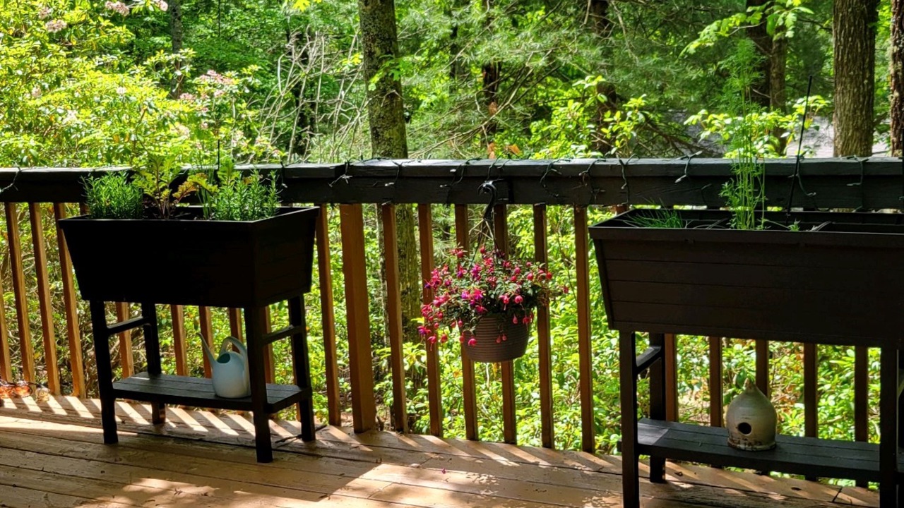 Photo of Outdoor in Brevard