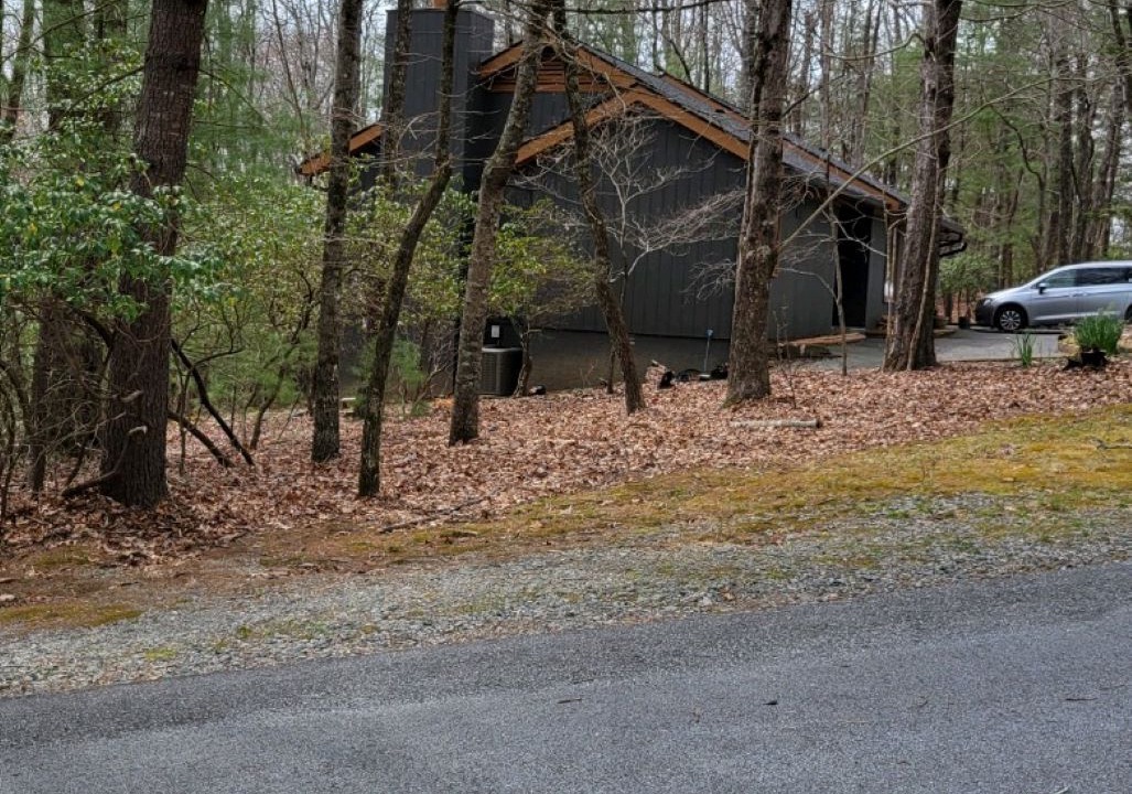 Photo of Others in Brevard