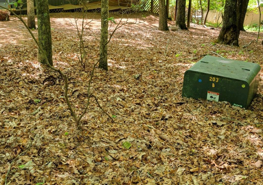 Photo of Outdoor in Brevard