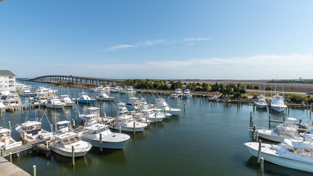 Photo of Others in Manteo