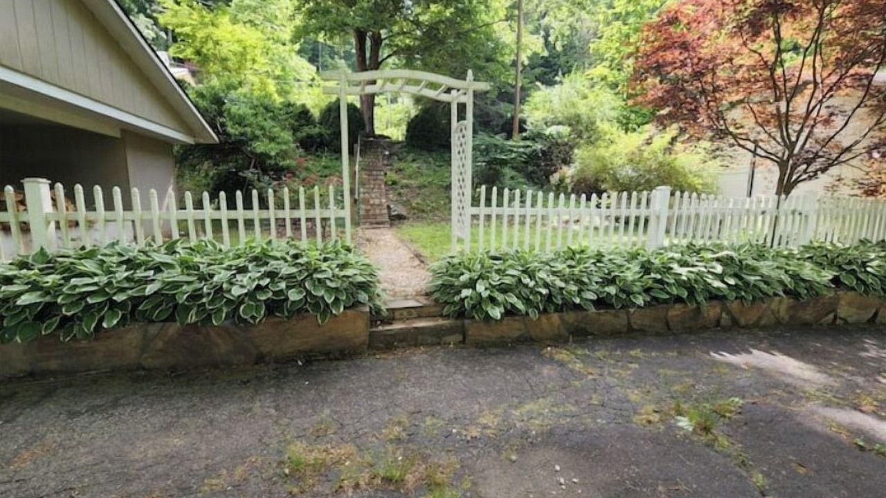 Photo of Outdoor in Fontana Dam