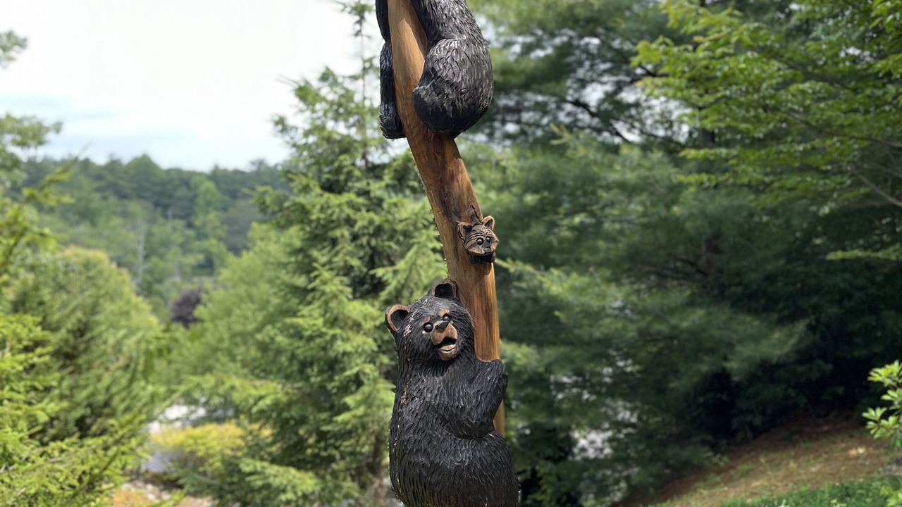 Photo of Outdoor in Lake Toxaway