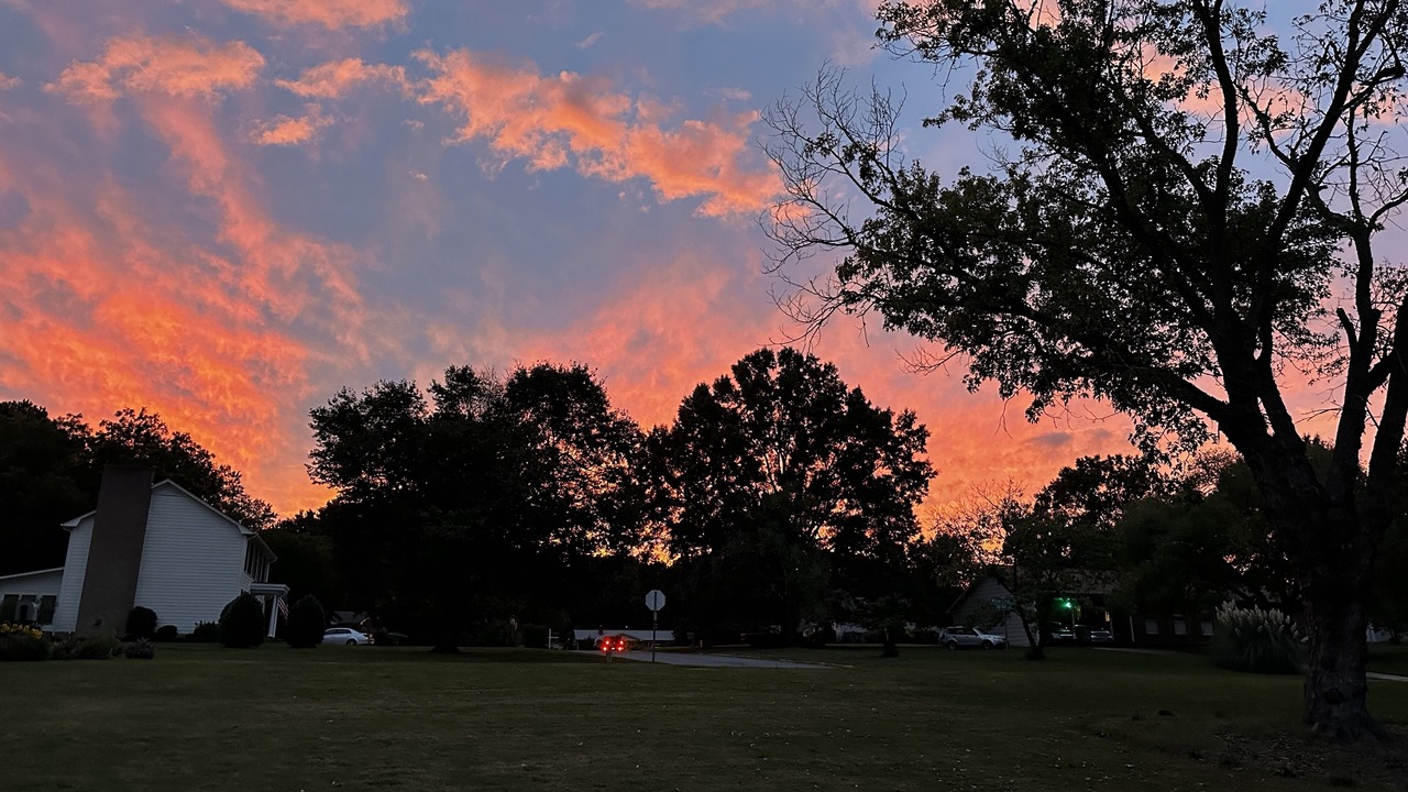 Photo of Outdoor in Northeast Raleigh