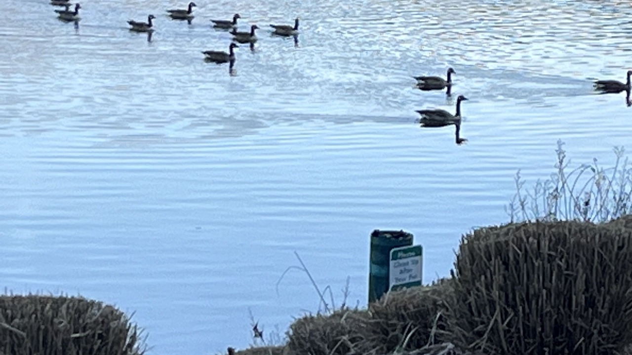 Photo of Others in Edgehill Farm