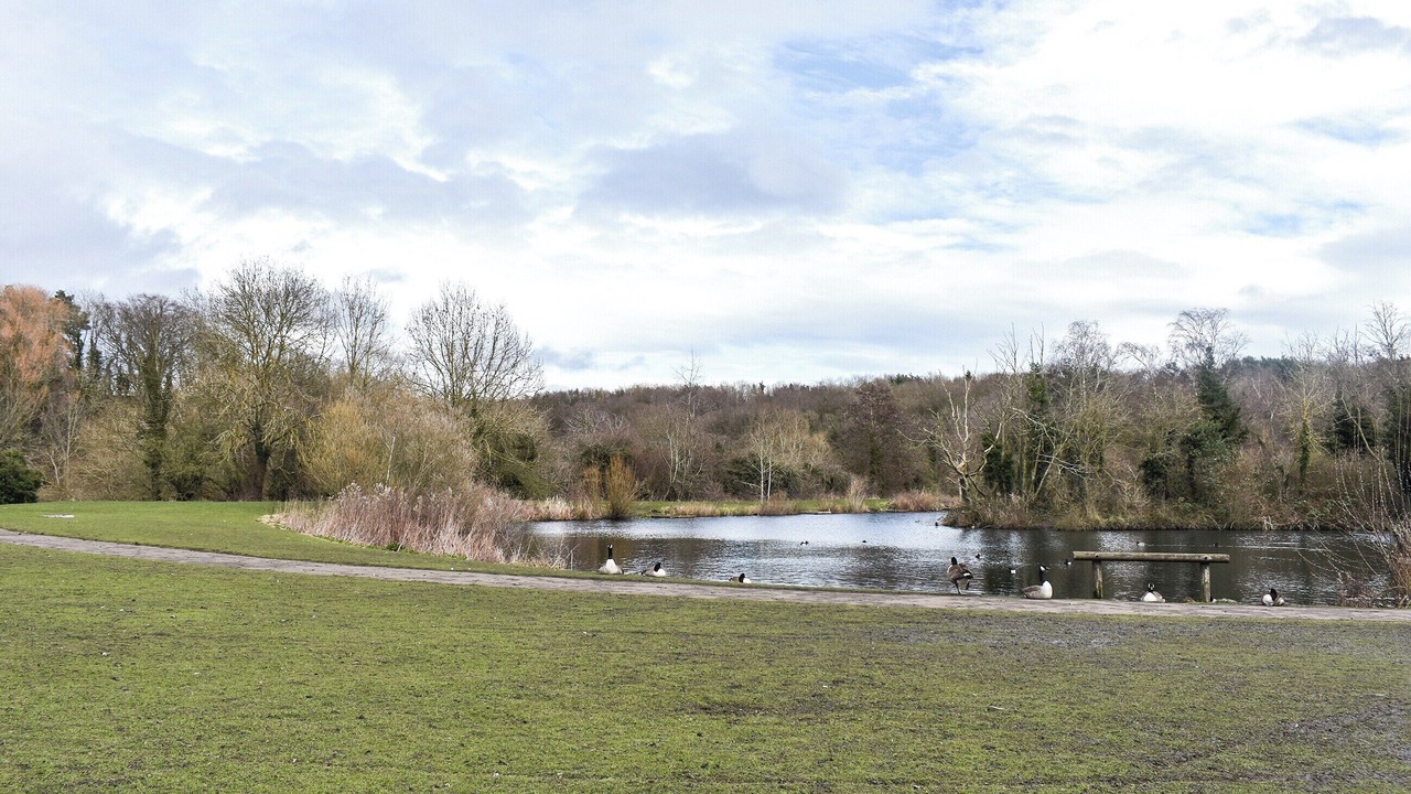 Photo of Others in Houghton le Spring