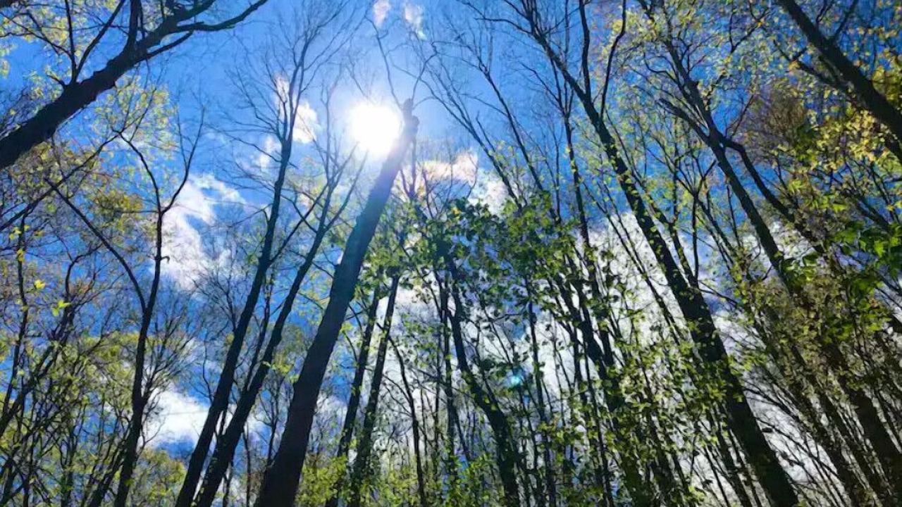 Photo of Others in Green Mountain