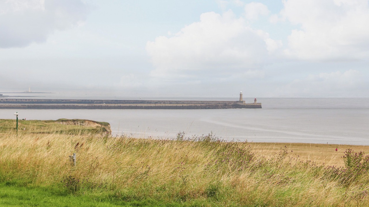 Photo of Others in South Shields