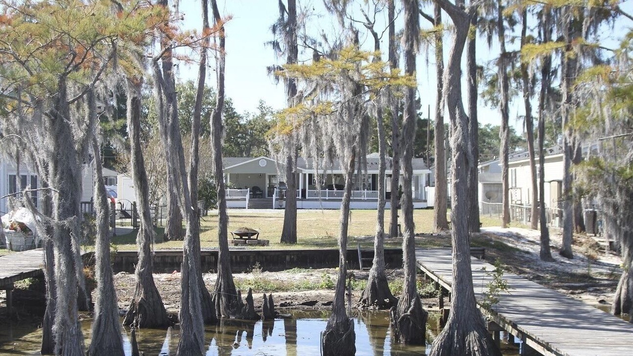 Photo of Others in White Lake