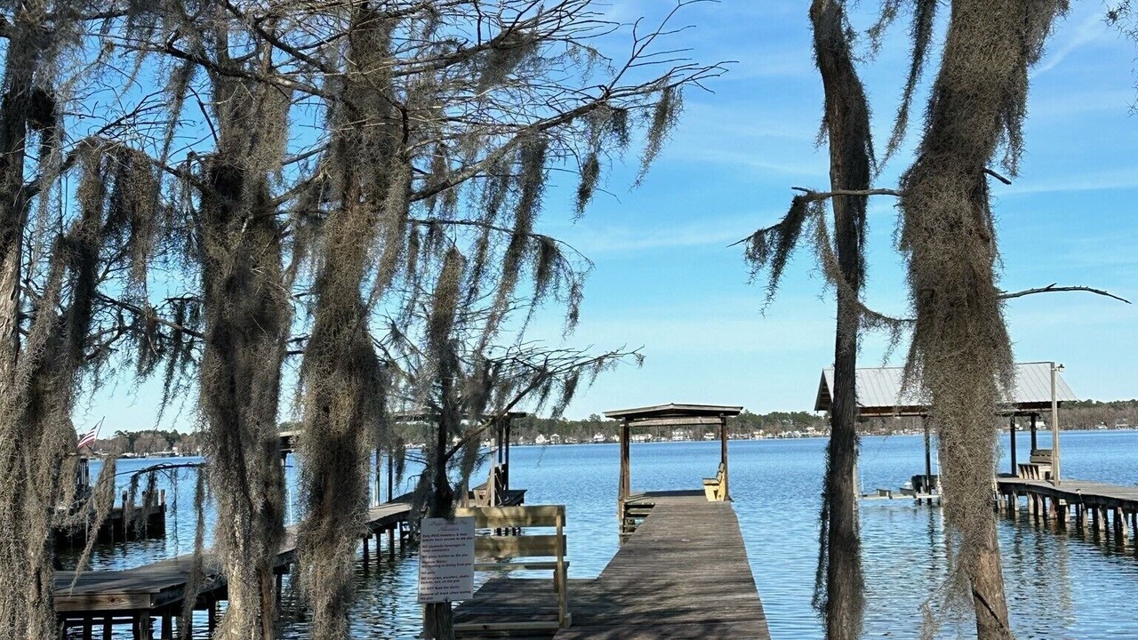 Photo of Others in White Lake
