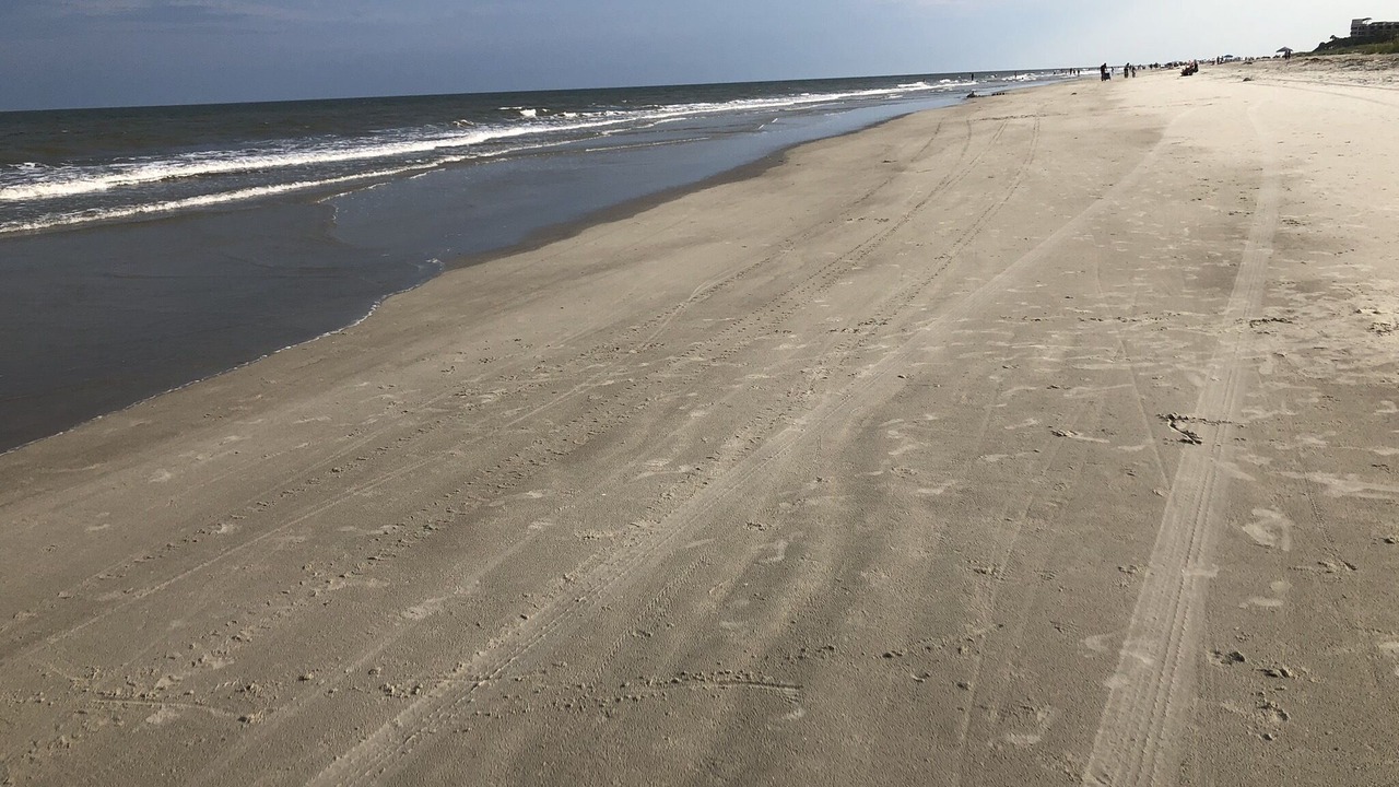 Photo of Others in Palmetto Dunes