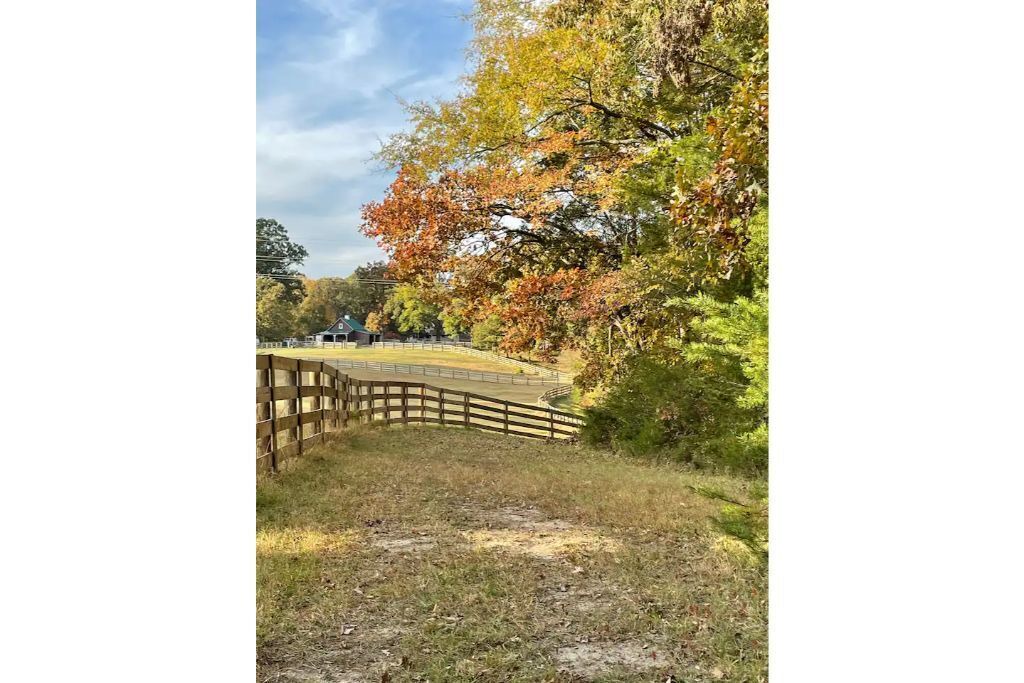 Photo of Outdoor in Greensboro