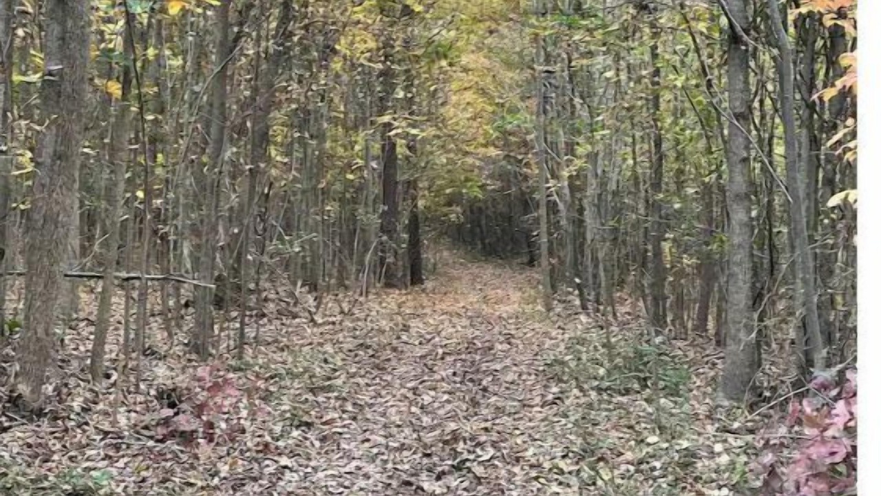 Photo of Others in Greensboro