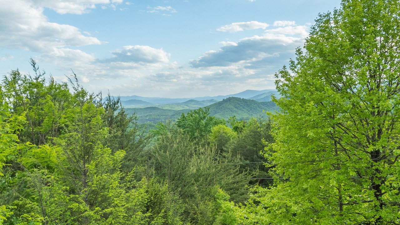 Photo of Others in Vein Mountain