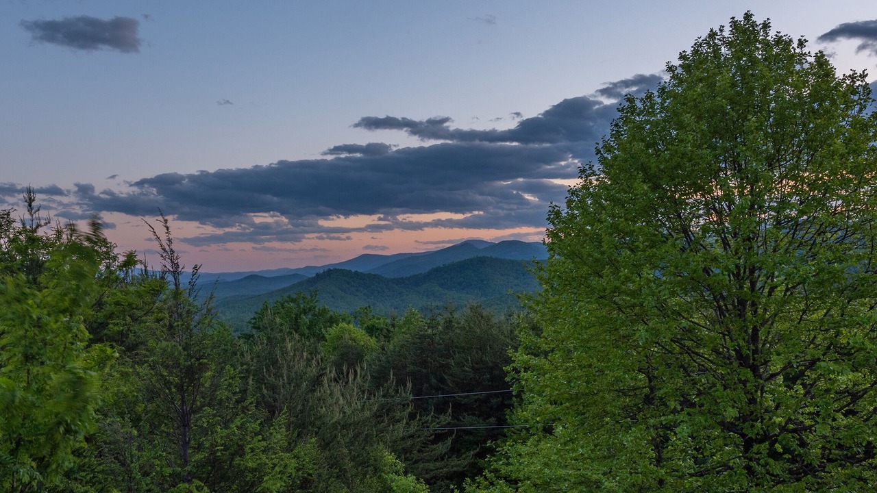 Photo of Others in Vein Mountain