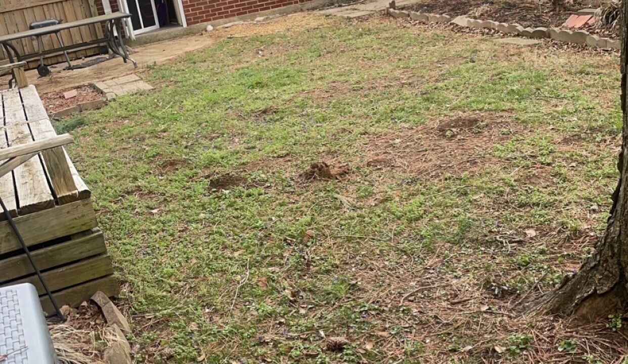 Photo of Outdoor in Inglewood