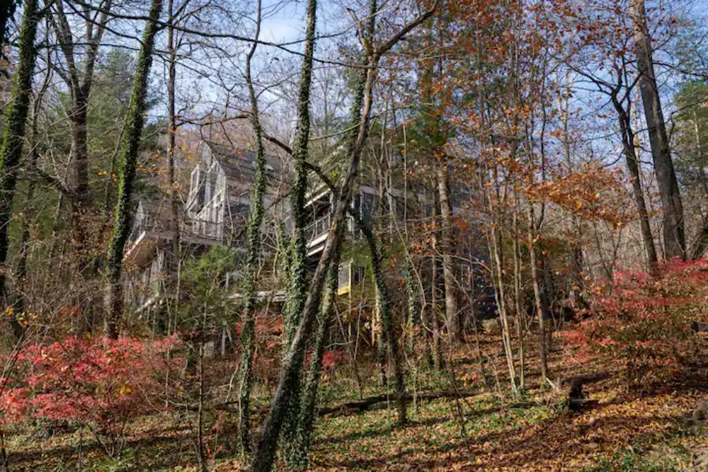 Photo of Others in Black Mountain