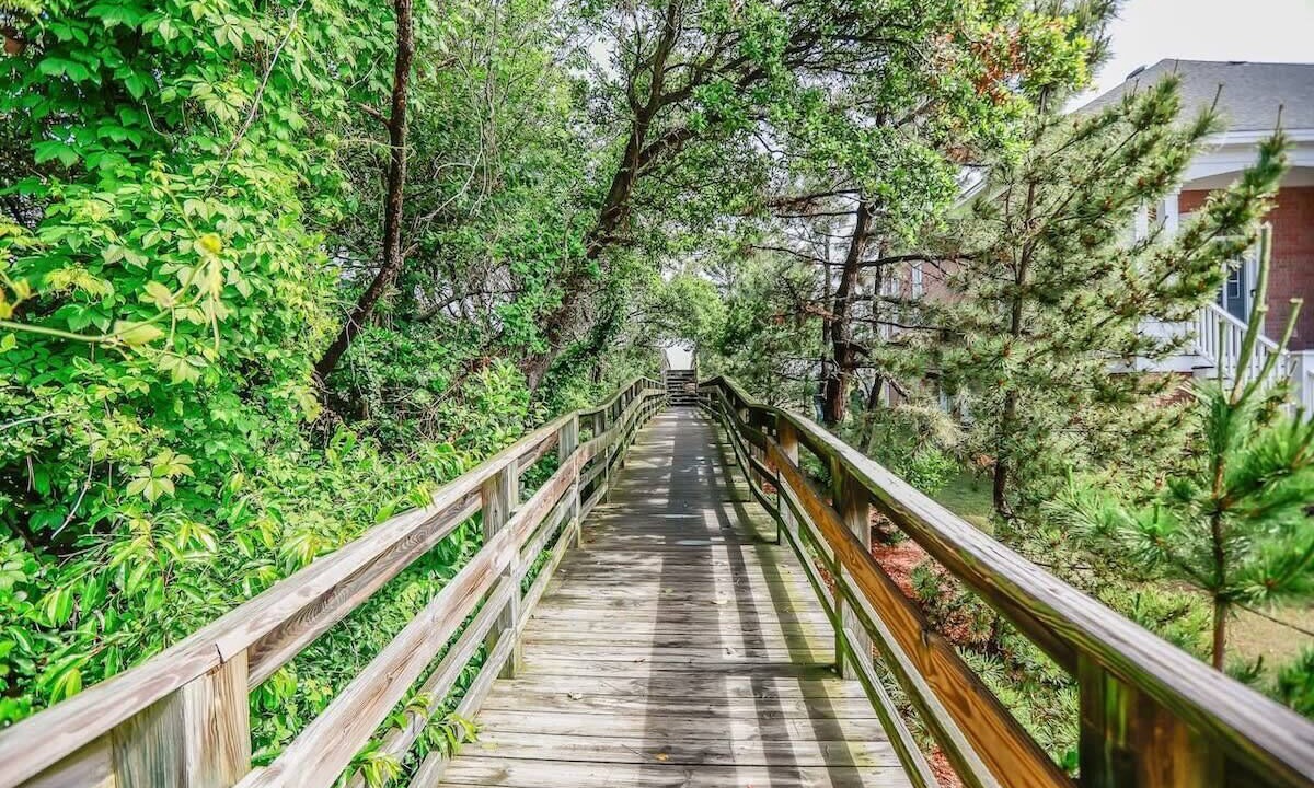 Photo of Outdoor in East Ocean View