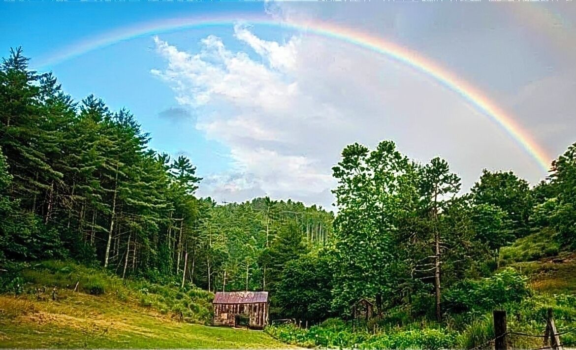 Photo of Outdoor in Weaverville