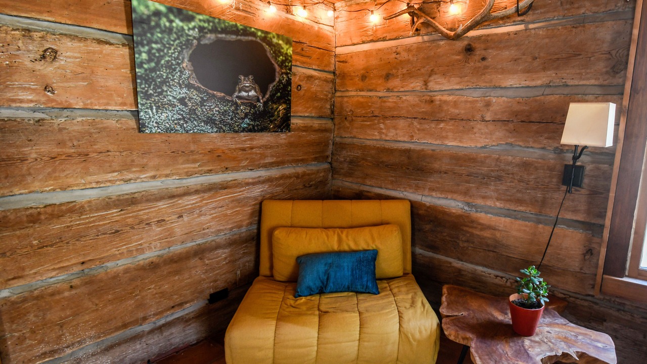 Photo of Livingroom in Weaverville