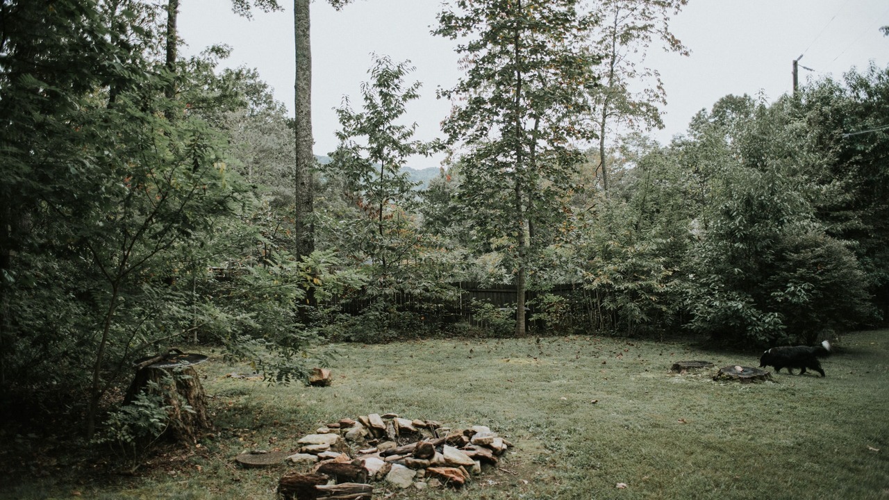 Photo of Others in Ridgecrest