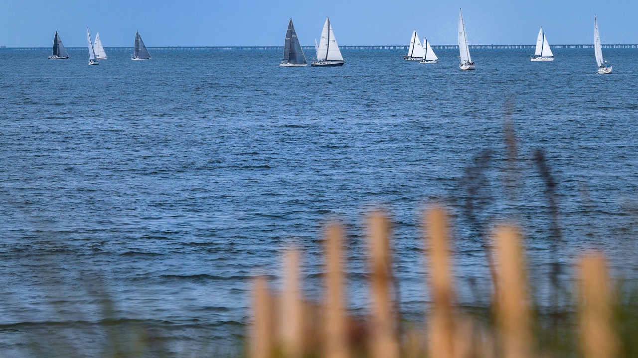Photo of Others in East Ocean View