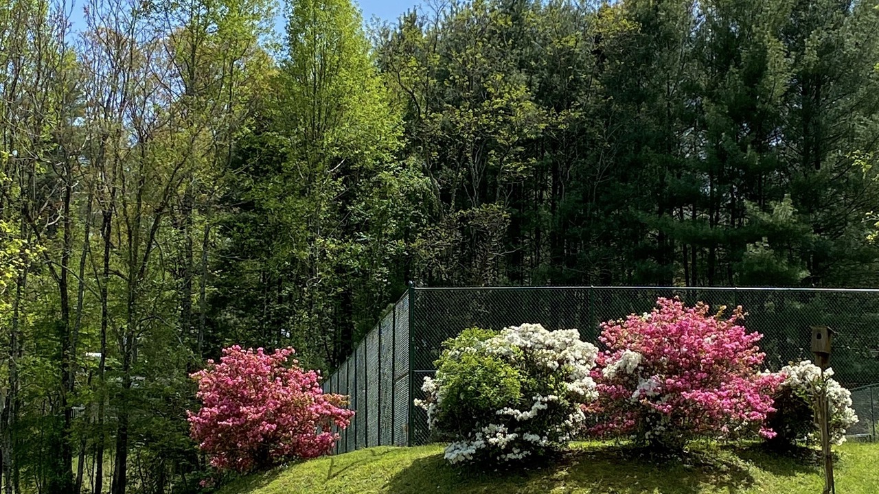 Photo of Outdoor in Flat Rock
