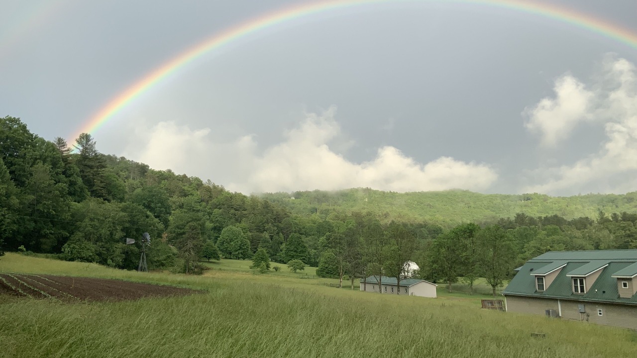 Photo of Others in Pisgah Forest
