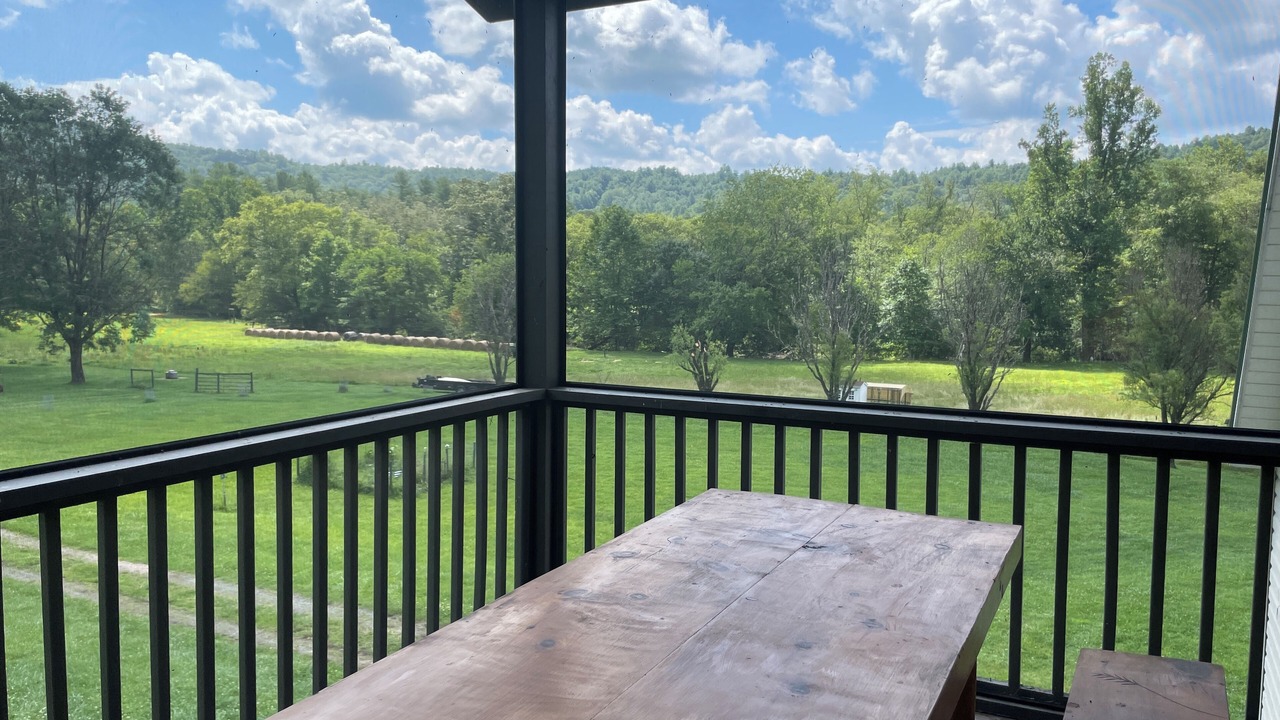 Photo of Outdoor in Pisgah Forest