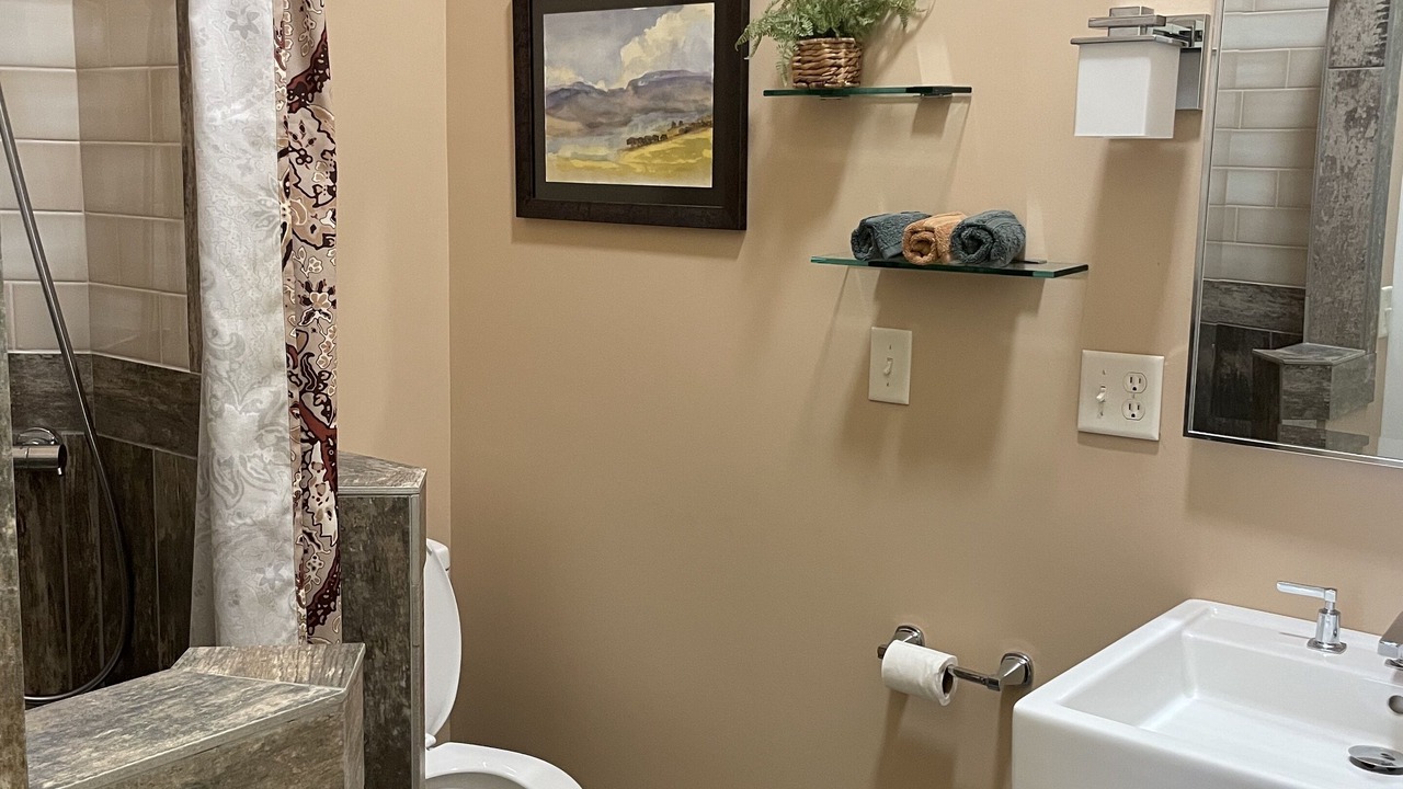 Photo of Bathroom in Pisgah Forest
