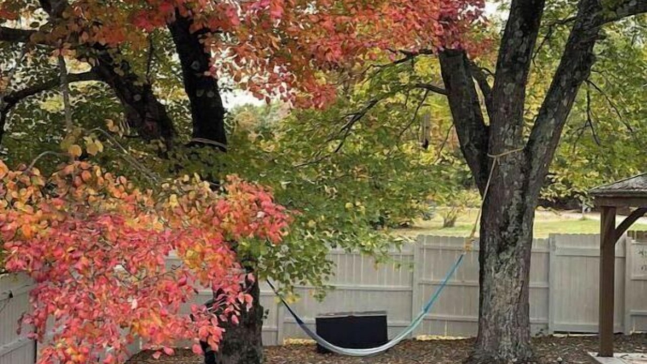 Photo of Patio Balcony in Sanford