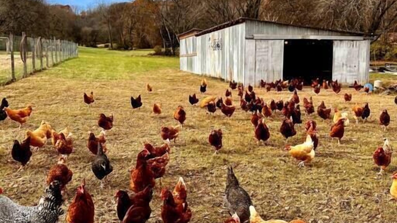 Photo of Others in Nashville
