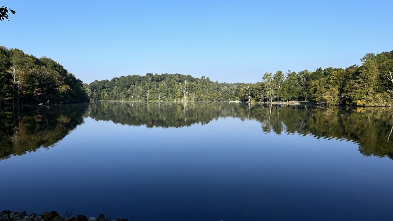 Photo of Outdoor in Newland