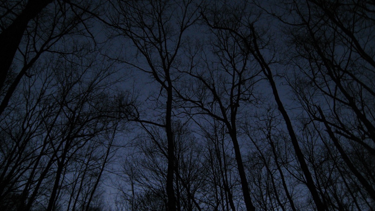Photo of Outdoor in Brevard