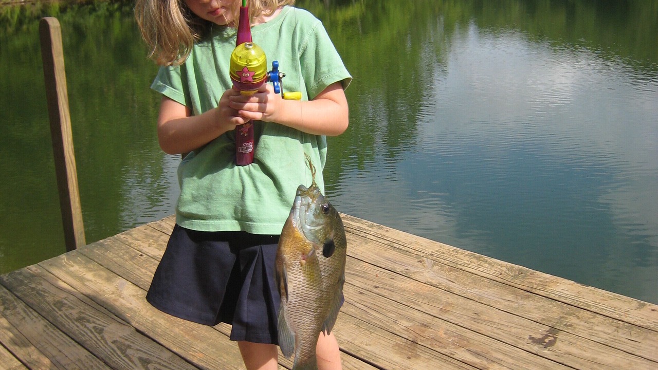 Photo of Others in Brevard